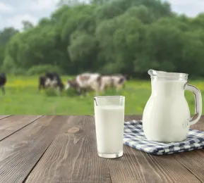 1 Litre Buffalo Milk