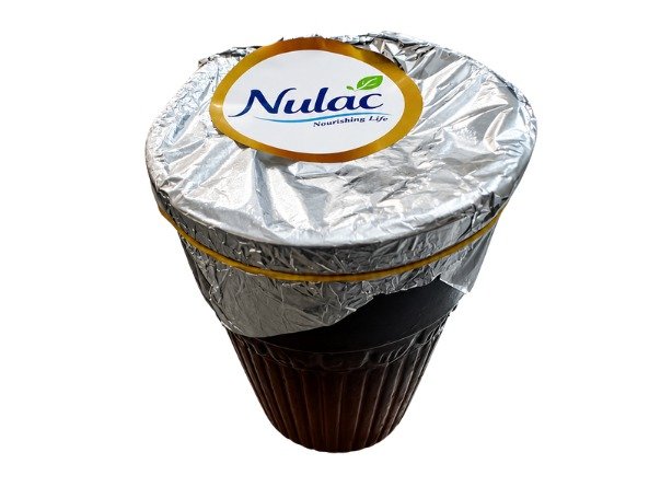 Matka Dahi